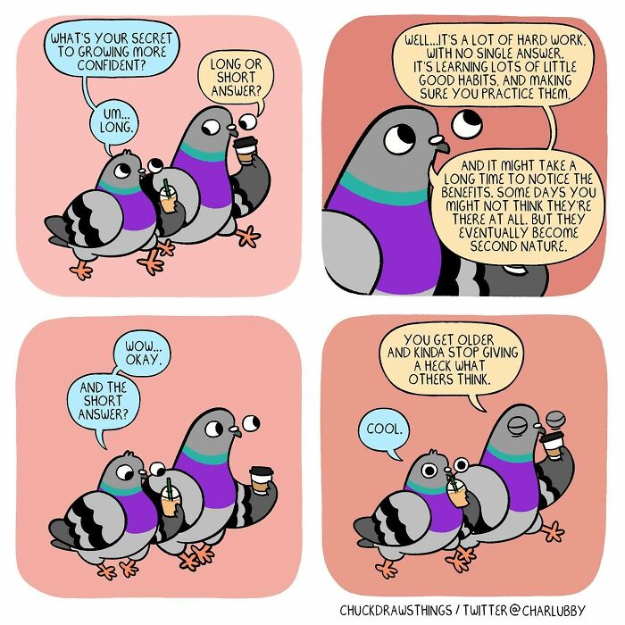 Comic of two pigeons illustrating living with anxiety and depression through honest conversation and self-confidence advice.