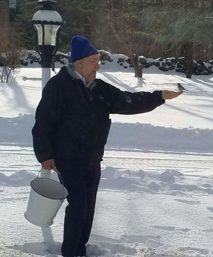 Elderly man in winter clothes holding a bucket and feeding a small bird in snowy landscape, showcasing wholesome people and animals.