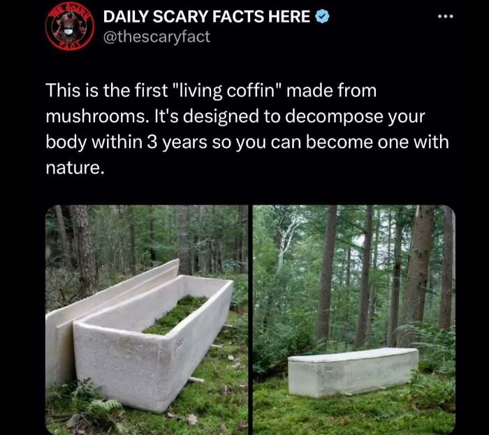 Living coffin made from mushrooms shown in forest, designed to decompose body naturally in three years, scary facts concept.