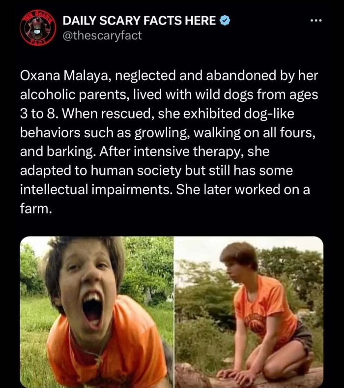 Screenshot of a scary fact about Oxana Malaya exhibiting dog-like behavior after neglect, related to scary facts.