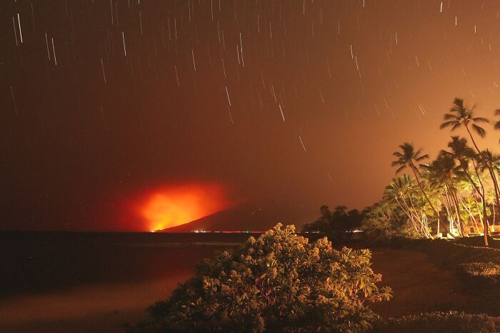 Wildfire blazing on a distant hillside at night with palm trees and vegetation in the foreground catastrophic wildfires