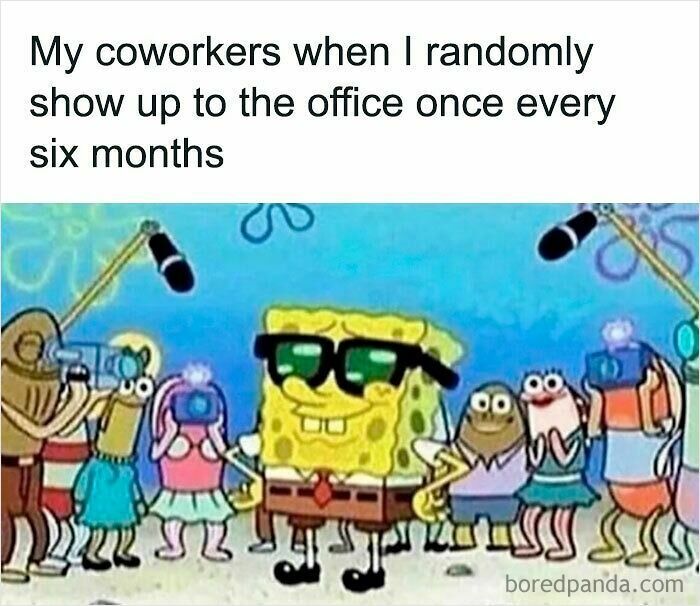 SpongeBob wearing glasses and posing confidently while coworkers with cameras surround him, funny WFH memes theme.