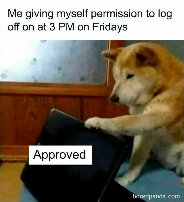 Shiba Inu dog approving early log off time, a funny Work From Home meme about WFH and not wearing real pants.