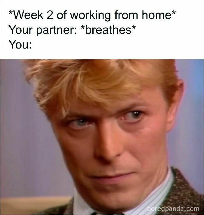 Serious man with intense stare, caption emphasizes the challenges of working from home in funny WFH memes.