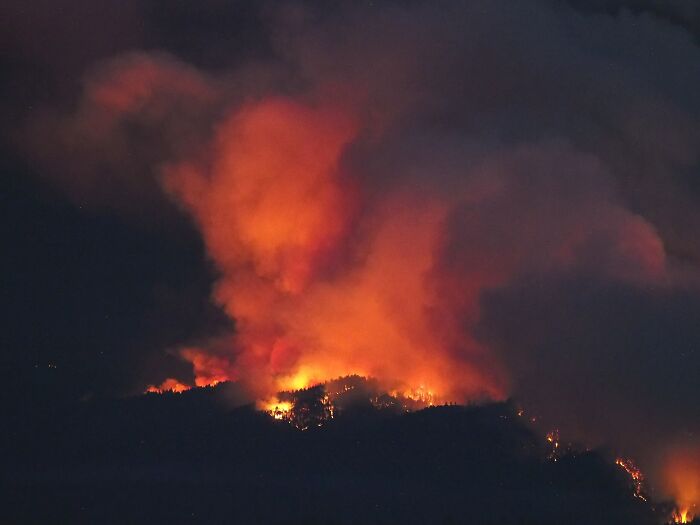 Wildfire burning intensely at night with large orange flames and thick smoke in a forested area, showing catastrophic wildfire impact.