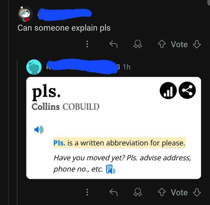 Screenshot of an internet response explaining the abbreviation pls as a written form of please.