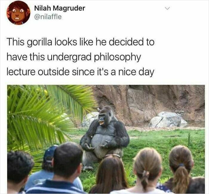 A gorilla outdoors appears to give an undergrad philosophy lecture to a small audience, captured in a philosophical meme.