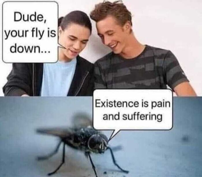 Two young men laugh at a fly, with a philosophical meme about existence and suffering in a humorous context.