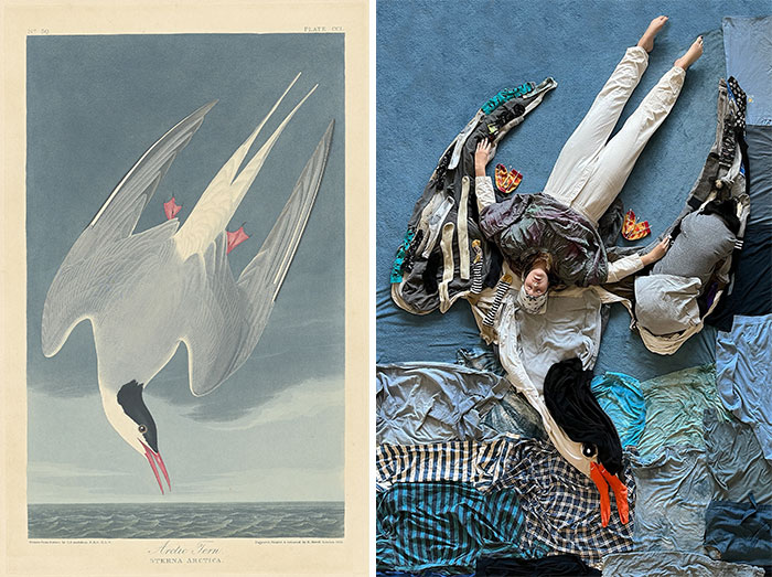 Recreation of a bird masterpiece using fabric and creativity, featuring people and clothing arranged to mimic the original artwork.