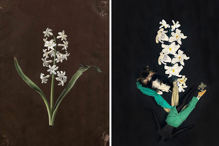 Side-by-side comparison of a floral masterpiece recreated using fabric and creativity by an artist.