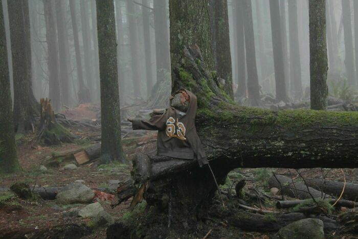 Creepy and terrifying things found in the forest including a fallen tree dressed with a worn hoodie in foggy woods.