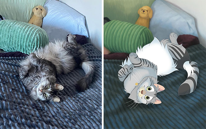 A fluffy gray tabby cat lying on a bed next to its Disney-style character transformation artwork.