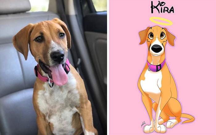 Photo of a dog next to a Disney-style digital illustration of the same dog with a pink background and a halo above its head.