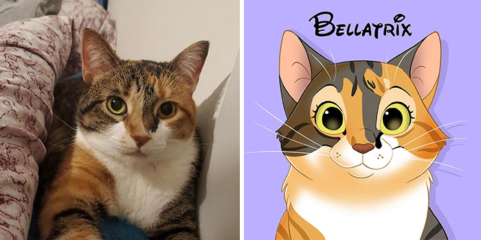 Side-by-side comparison of a beloved pet cat and its Disney-style character transformation by an artist.