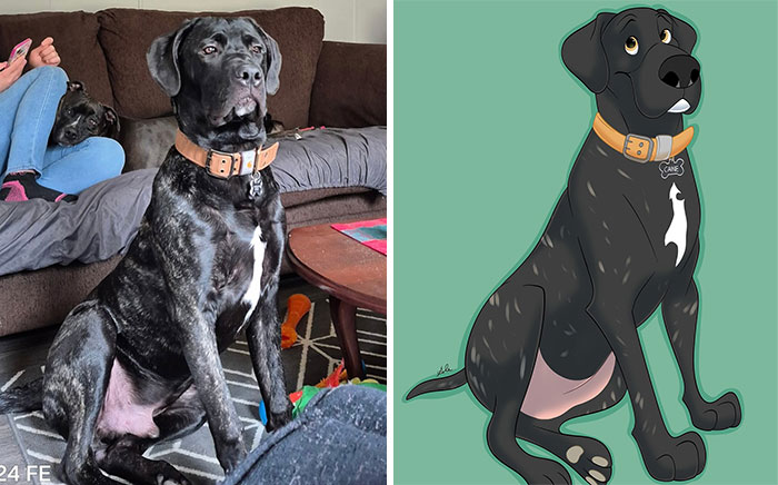 Black dog sitting indoors next to its Disney-style character illustration in a pet transformation artwork.