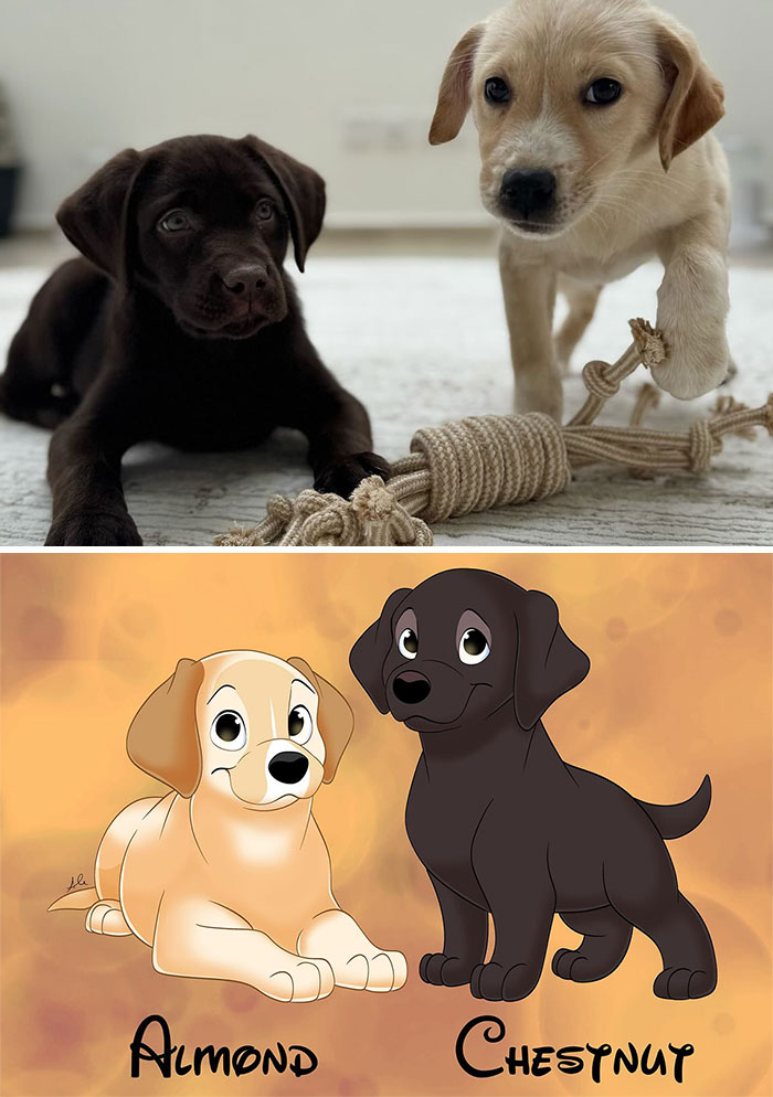 Two puppies with a rope toy and their Disney-style cartoon versions named Almond and Chestnut in warm tones.