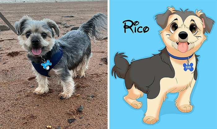 Photo of a small dog with a blue collar next to a Disney-style digital art character of the same dog, showcasing pet transformation.