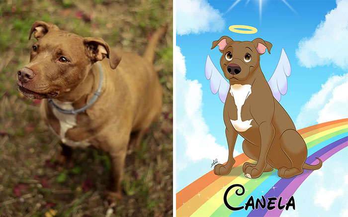Brown dog with white chest outdoors next to Disney-style character drawing with wings and halo on a rainbow background.