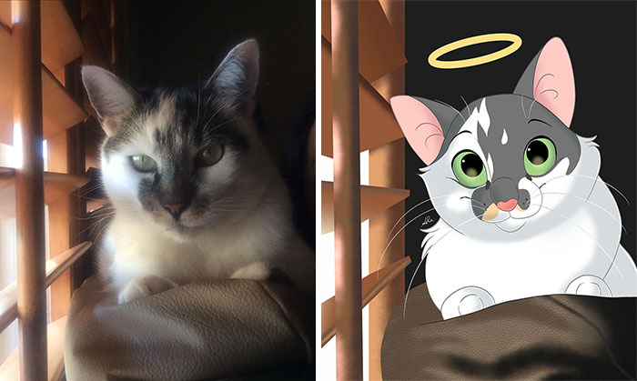 Side-by-side image of a cat and its Disney-style character transformation with large green eyes and a halo.