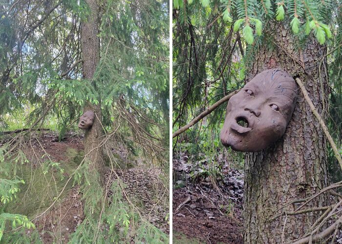 Creepy and terrifying forest scene featuring a haunting face sculpture attached to a tree trunk among dense pine branches.