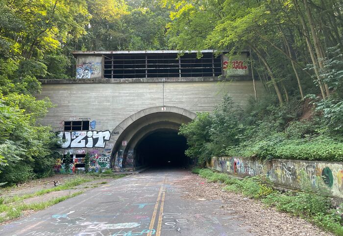 Abandoned graffiti-covered tunnel entrance in a dense forest, evoking creepy and terrifying forest discoveries.