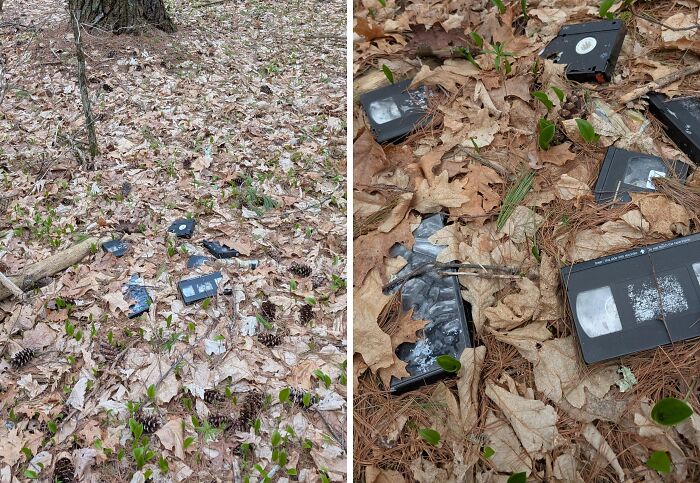 Old broken VHS tapes scattered on the forest floor among dry leaves, creating a creepy and terrifying scene.