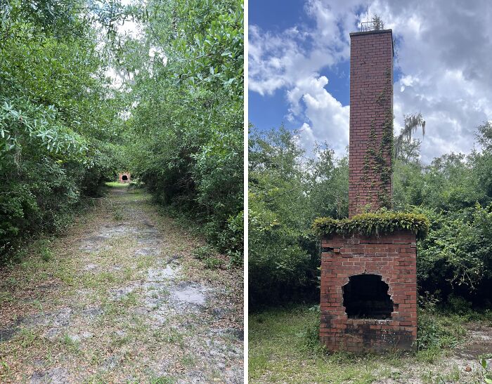 Overgrown forest path leading to an old creepy brick chimney, surrounded by dense trees and cloudy sky.