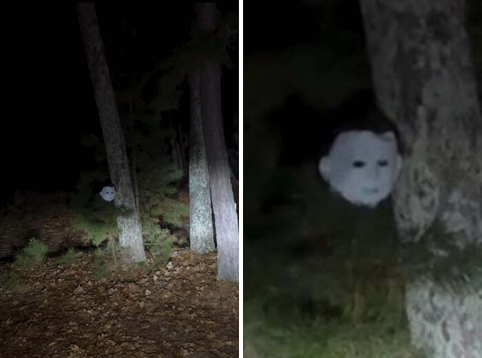 Creepy pale mask-like face lurking behind trees in a dark forest, one of the terrifying things people have found.