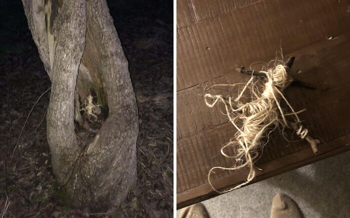 Creepy and terrifying object made of twine inside a tree hollow in a dark forest at night.