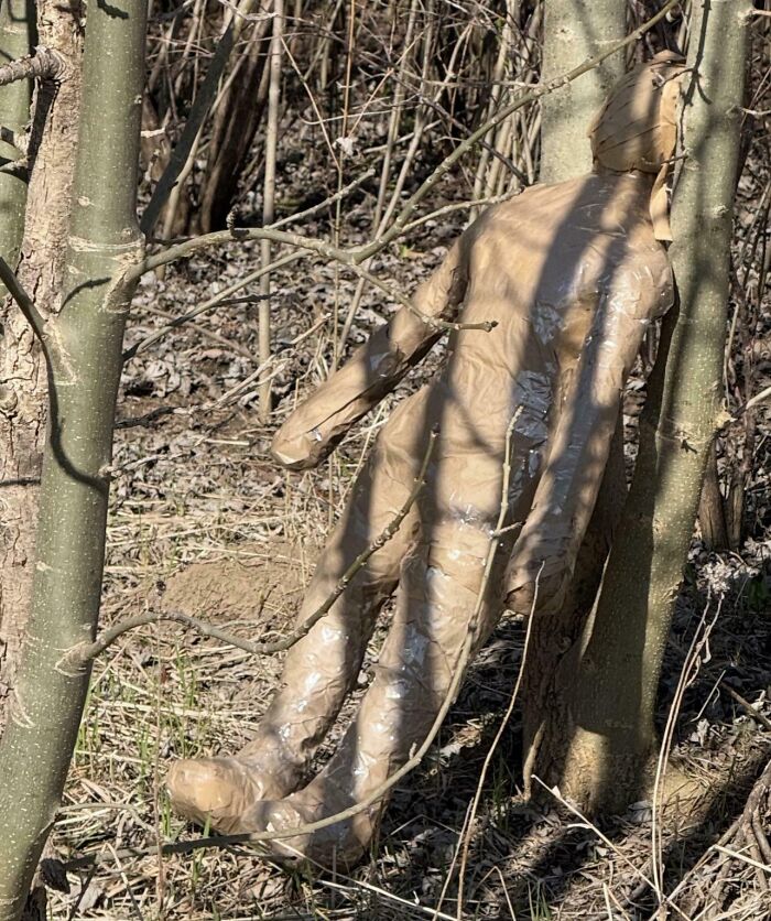 A creepy humanoid figure wrapped in tape and hanging between trees in a forest, creating a terrifying scene.