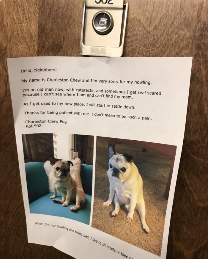 Note apologizing for a howling pug with cataracts, showing wholesome people and animals in a kind community.