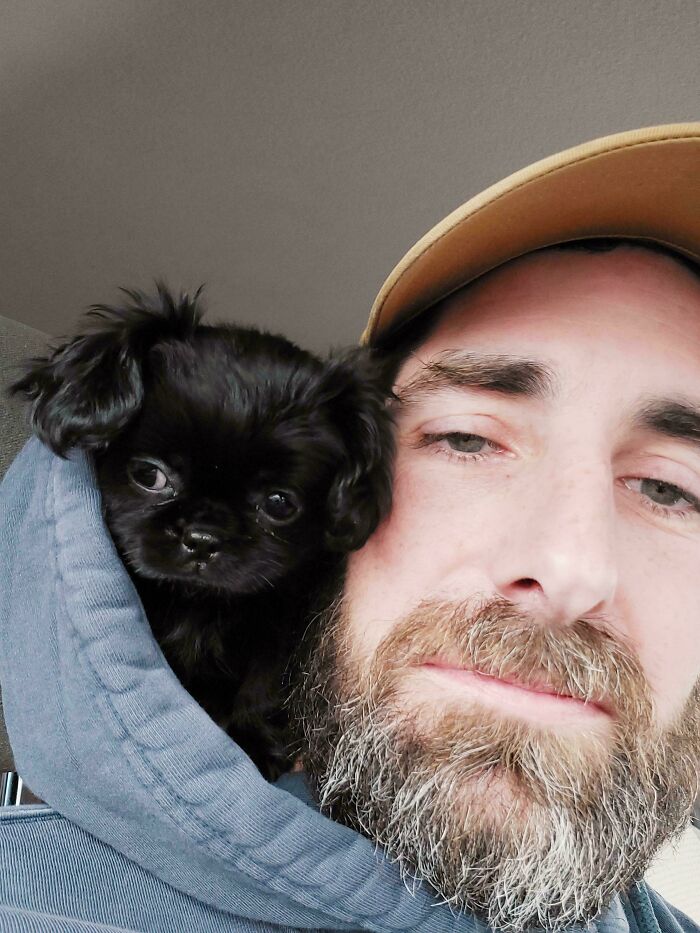 Bearded man wearing a cap with a small black puppy on his shoulder, showcasing some of the cutest dogs ever.