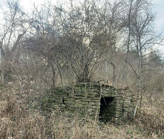 Overgrown stone structure hidden in forest, surrounded by dry branches and eerie vegetation, evoking creepy forest discoveries.