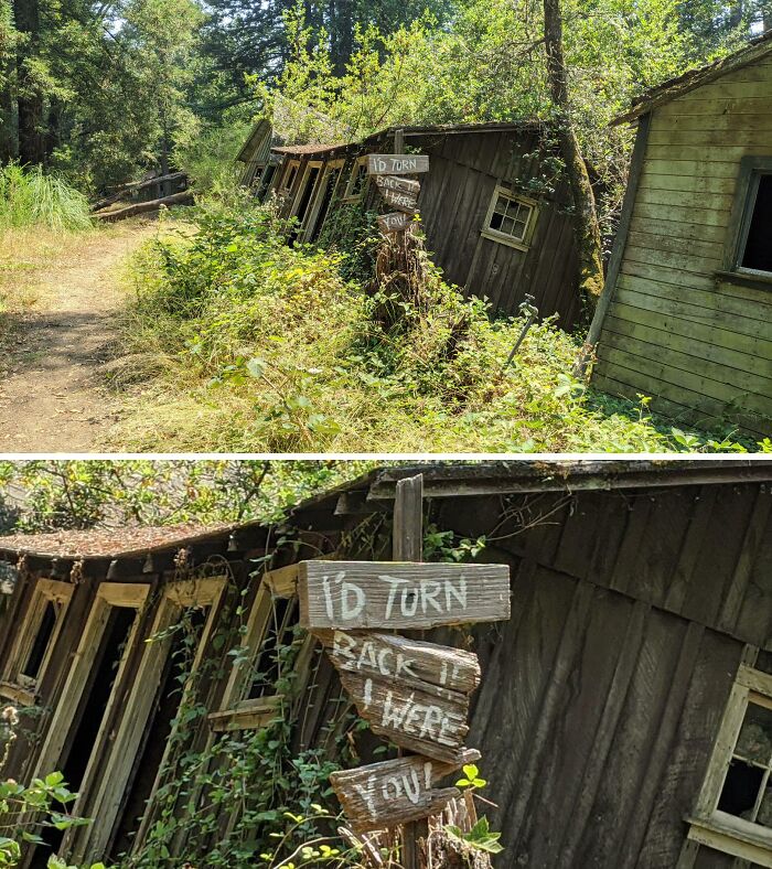 Overgrown abandoned cabins in the forest with a creepy sign warning visitors to turn back, evoking terror.