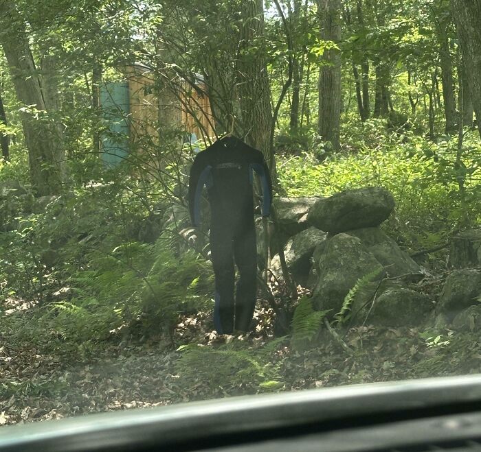 Wetsuit hanging on a tree in a dense forest with rocks and ferns, a creepy and terrifying forest discovery.