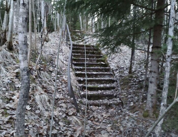 Moss-covered stone staircase with a rusty handrail in a dense forest, evoking creepy and terrifying forest discoveries.