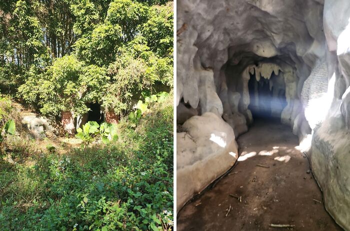 Entrance to a dark, eerie cave hidden in a dense forest, one of the creepy and terrifying things found outdoors.