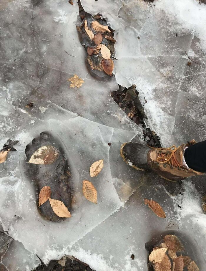 Boot prints frozen in ice with fallen leaves scattered, illustrating creepy and terrifying things found in the forest.