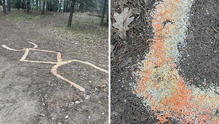 Creepy and terrifying markings made of colored powder on forest ground surrounded by trees and dry leaves.