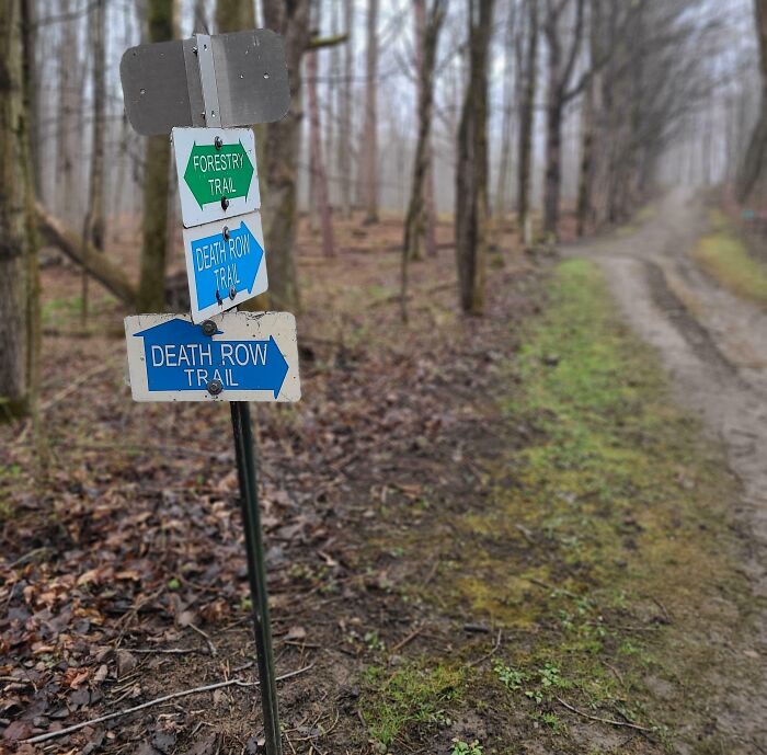 Trail signs for Forestry Trail and Death Row Trail on a foggy forest path, evoking creepy and terrifying forest discoveries.