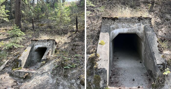 Abandoned concrete structure built into a forest hillside, one of the creepy and terrifying things found in the forest.