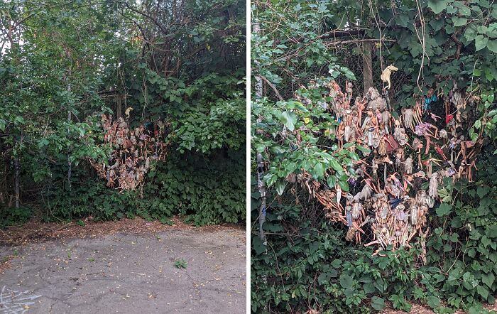 Creepy and terrifying things found in the forest include a heart-shaped cluster of abandoned dolls hanging in the bushes.