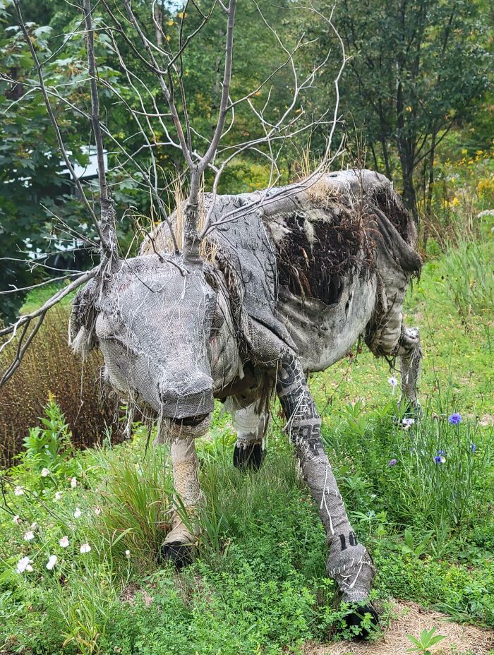 Creepy and terrifying forest discovery resembling a decayed animal figure made of fabric and branches in dense greenery.