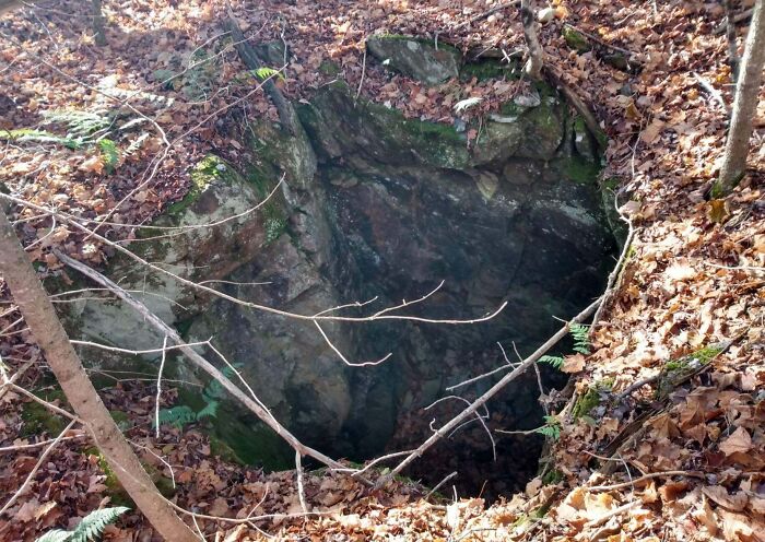 Deep hole surrounded by fallen leaves and branches in a forest, one of the creepy and terrifying things found in the forest.