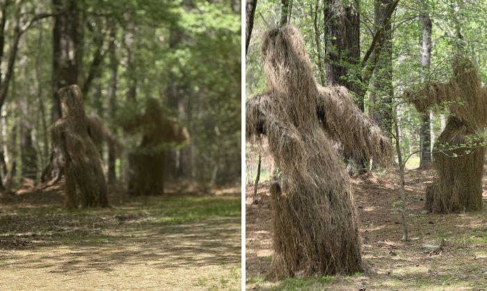 Tall creepy and terrifying grass figures standing among trees in a dense forest with dappled sunlight.