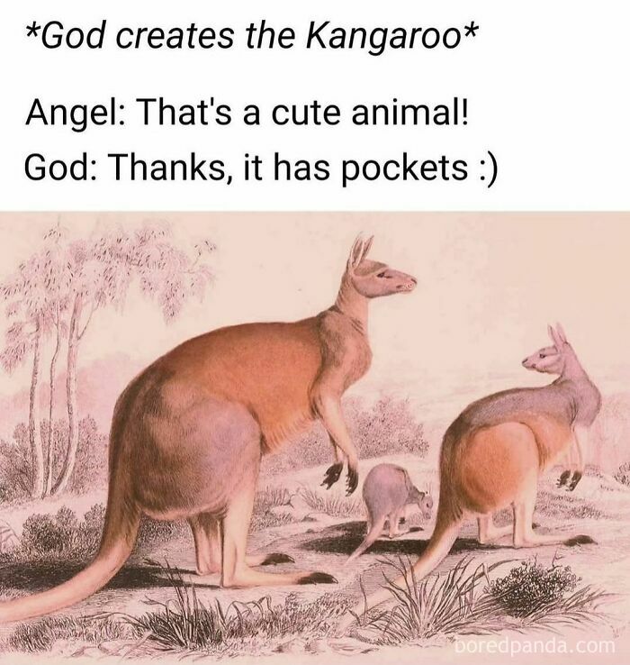 Funny animal meme featuring kangaroos with a humorous caption about God creating a cute animal with pockets.