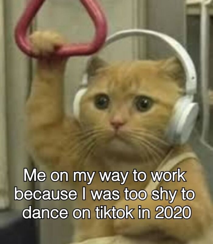 Cat wearing headphones holding a bus strap with a funny animal meme about being shy on TikTok in 2020.