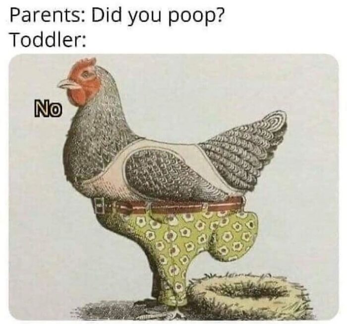 Funny animal meme showing a chicken wearing toddler pajamas, humorously denying having pooped, pure animal humor.