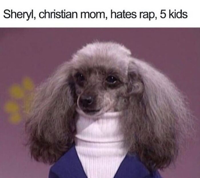 Poodle dressed in a white turtleneck and blue jacket, featured in a funny animal meme with a humorous caption.