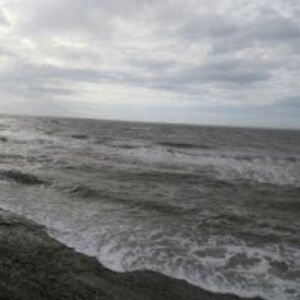 correspondenceeu avatar